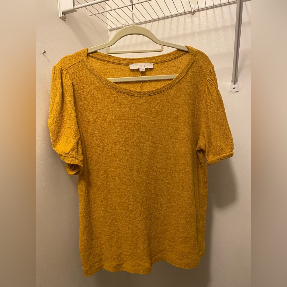 Short sleeved knit top by LOFT (Sm)